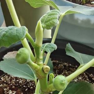 请输入相册名称