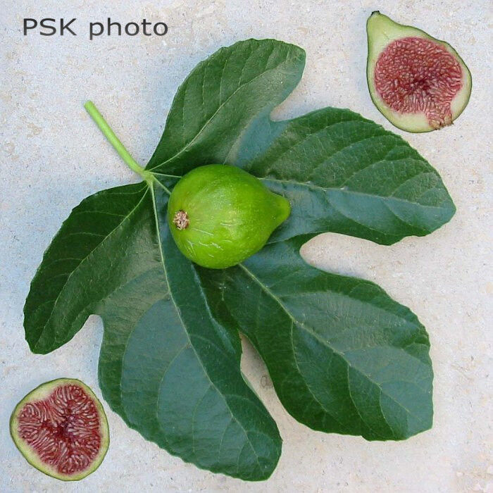 _whc5d06dc5e57803_NOQP3d18qQ_2w6SbVQqL2.jpg _whc5d06dc5e57803_NOQP3d18qQ_2w6SbVQqL2.jpg