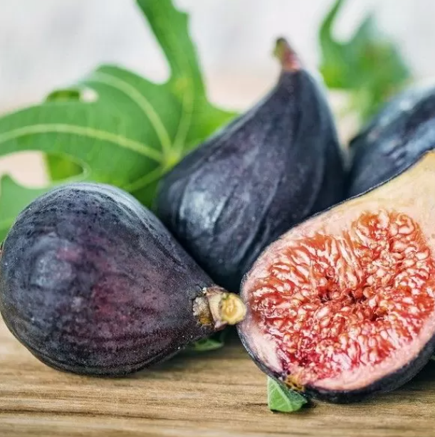 31.黑金翅         Fico Verdone nero (Ficus Carica)？-小果迷