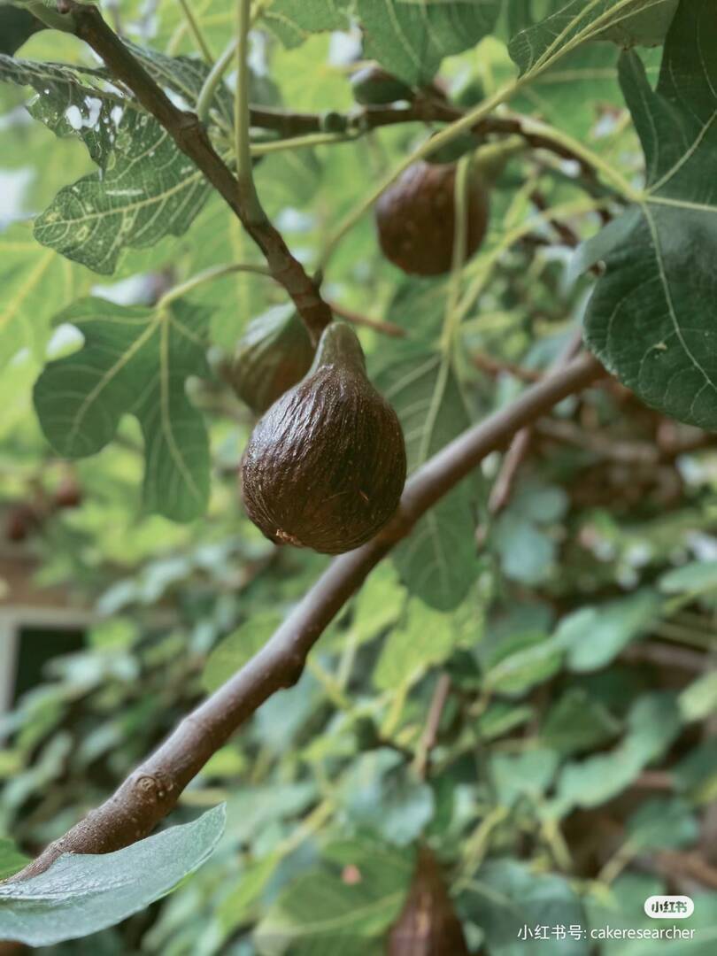 170301g4gmf2wy1b9zb14n (1).jpg