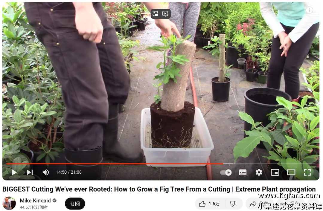 屏幕截图 2024-07-04 135223.png