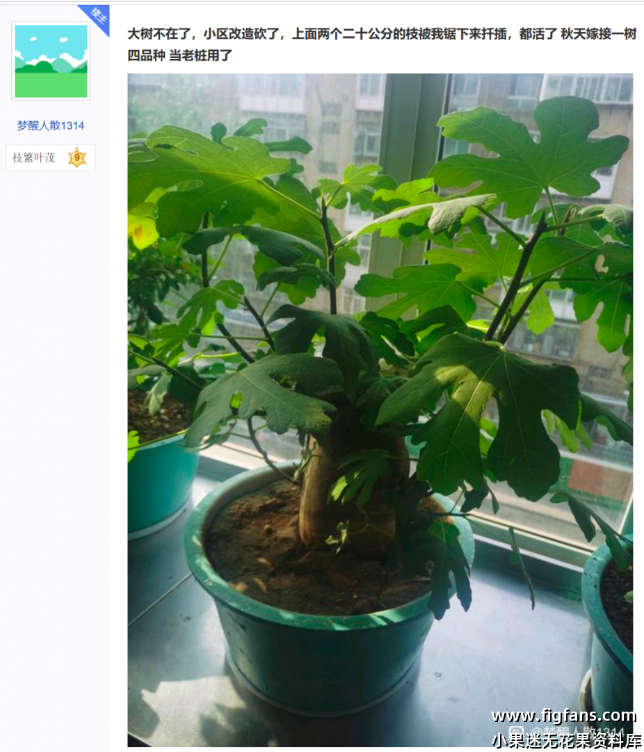 屏幕截图 2024-07-04 135753.png