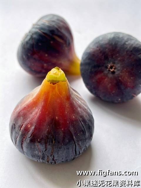 像即将爆发的小火山-小果迷