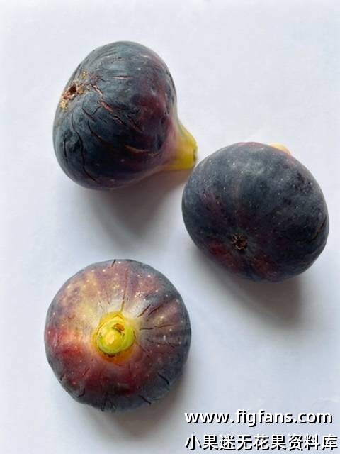 像即将爆发的小火山-小果迷