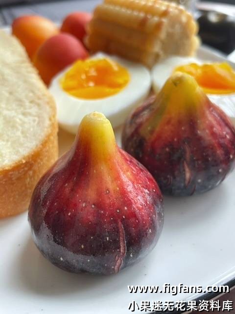 像即将爆发的小火山-小果迷