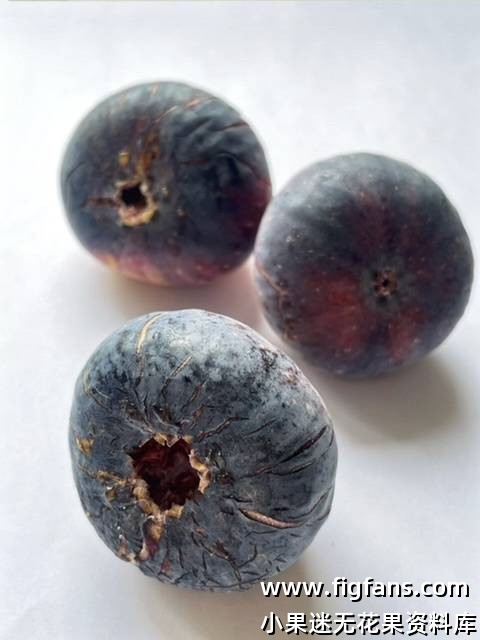 像即将爆发的小火山-小果迷