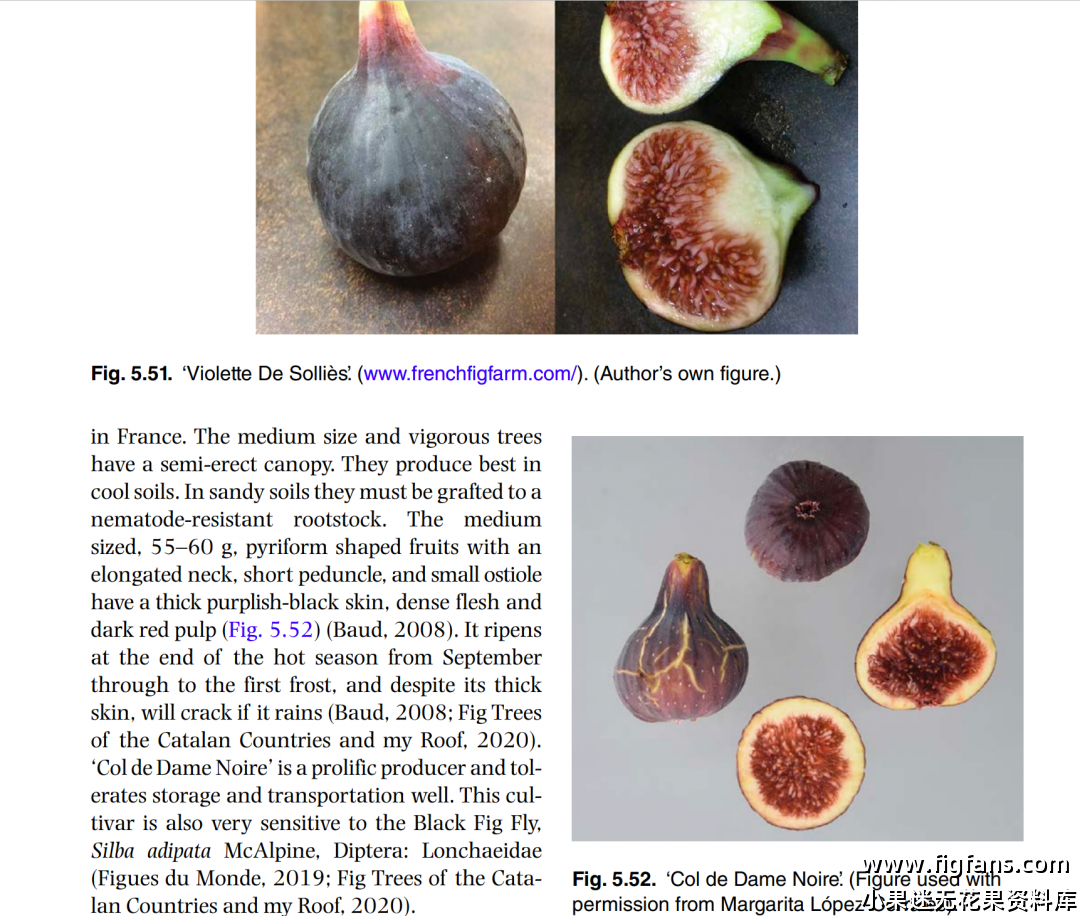 屏幕截图 2024-08-14 151742.png