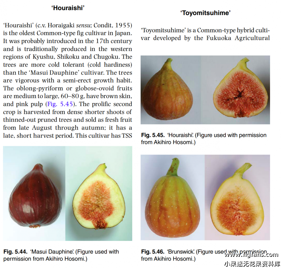 屏幕截图 2024-08-14 151816.png