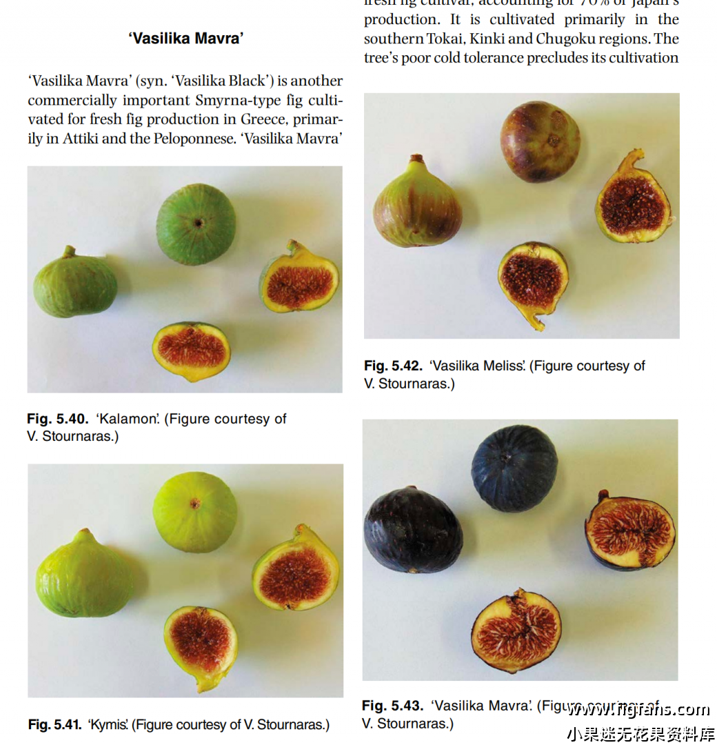 屏幕截图 2024-08-14 151844.png