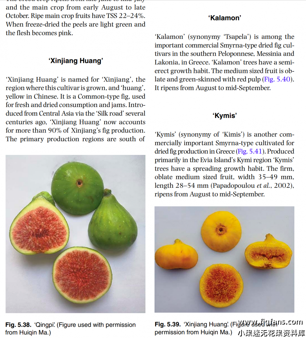 屏幕截图 2024-08-14 151908.png