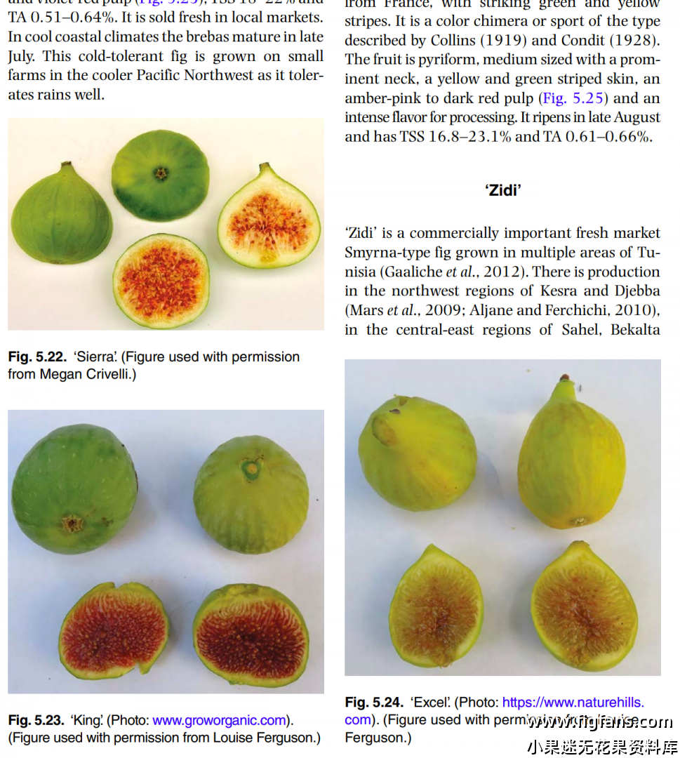 屏幕截图 2024-08-14 152000.png