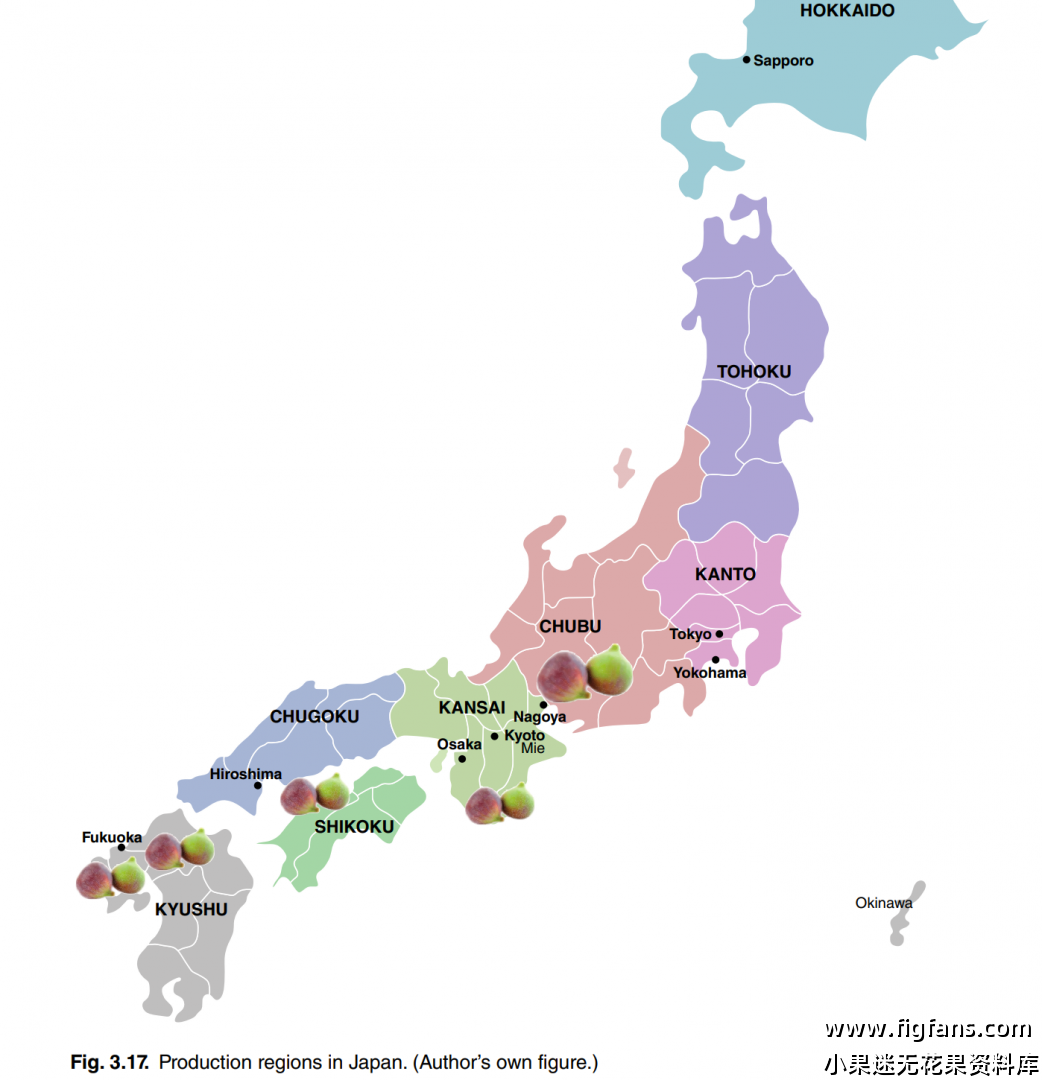 屏幕截图 2024-08-14 152220.png