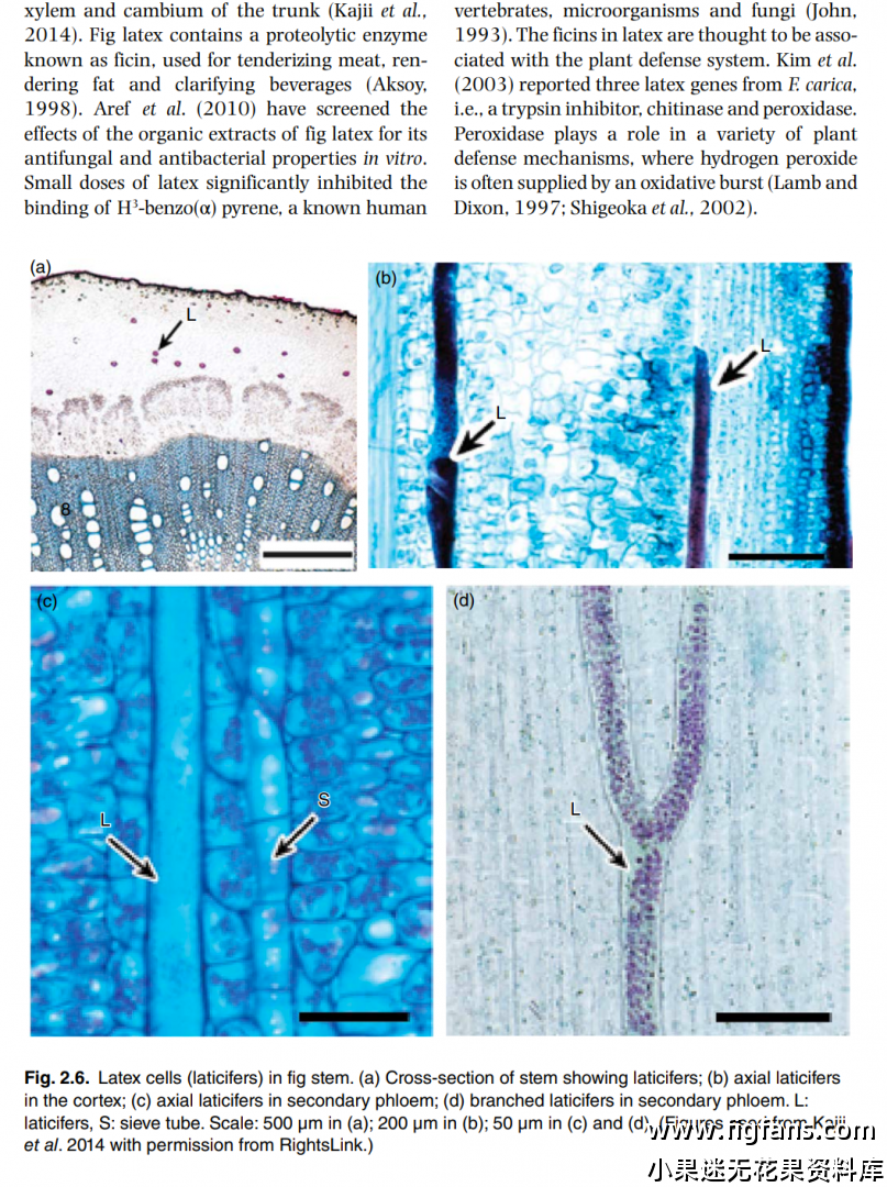 屏幕截图 2024-08-14 152437.png