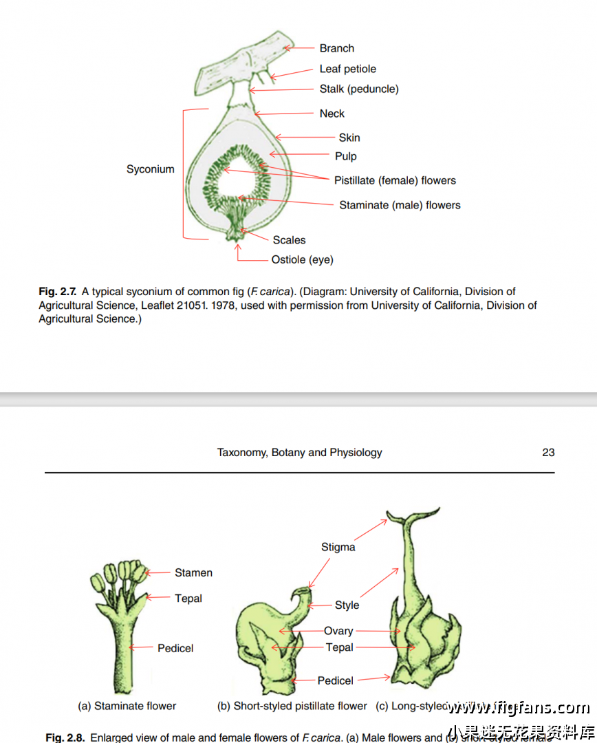 屏幕截图 2024-08-14 152458.png