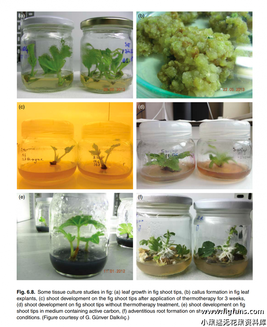 屏幕截图 2024-08-14 152838.png