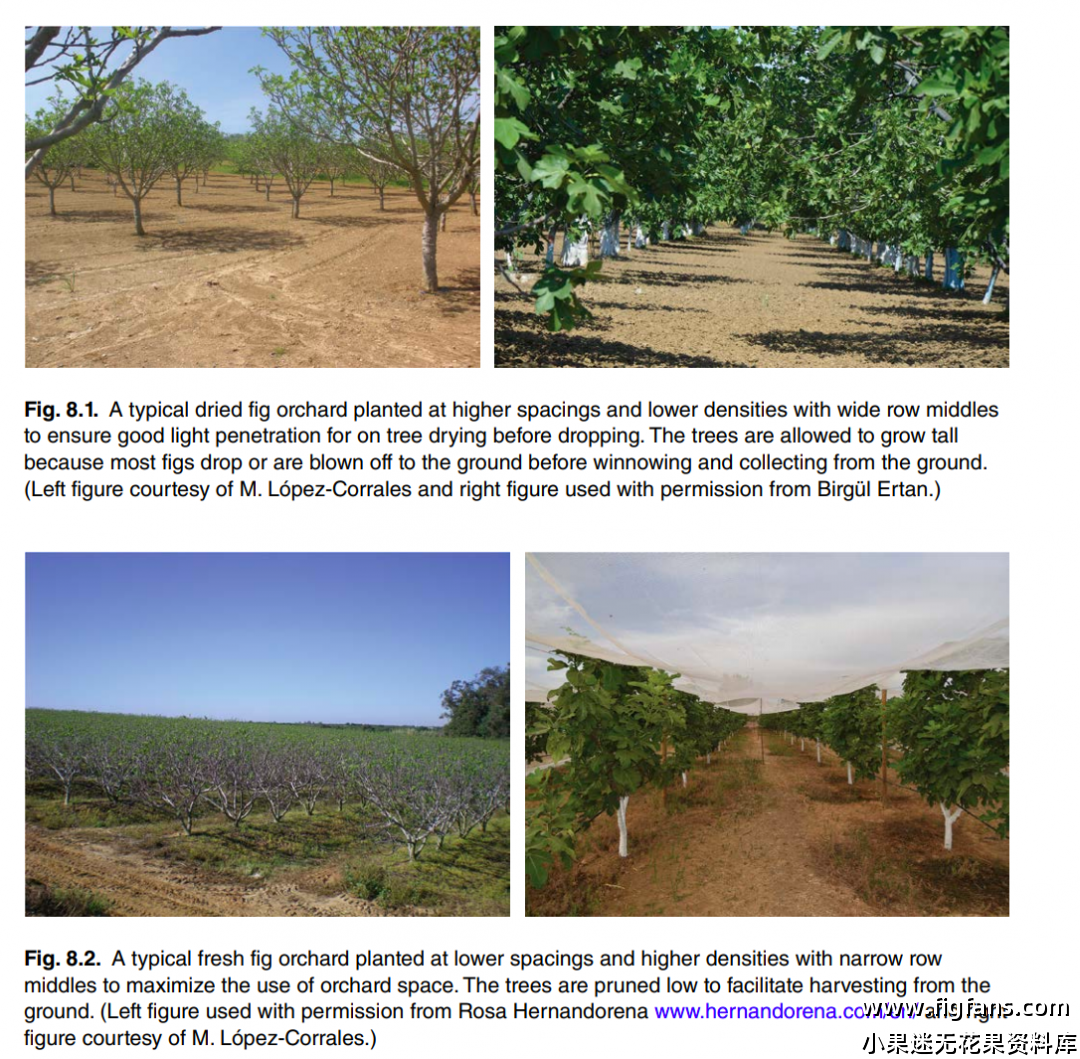 屏幕截图 2024-08-14 153139.png