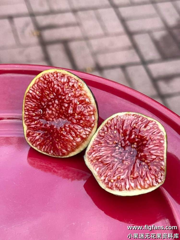 国外品种果图分享-小果迷