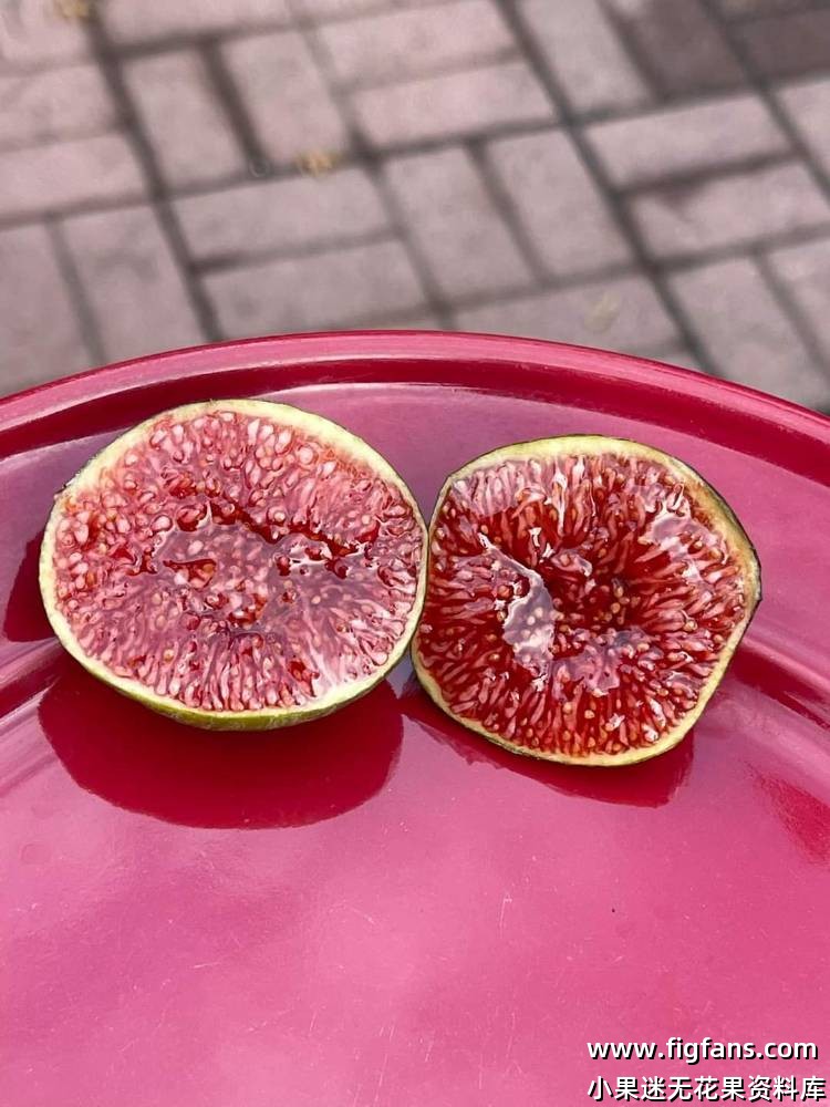 国外品种果图分享-小果迷