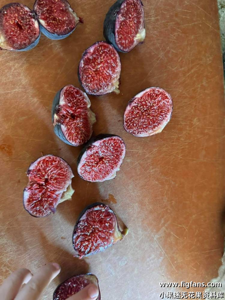 Pastillere地栽第二年-小果迷