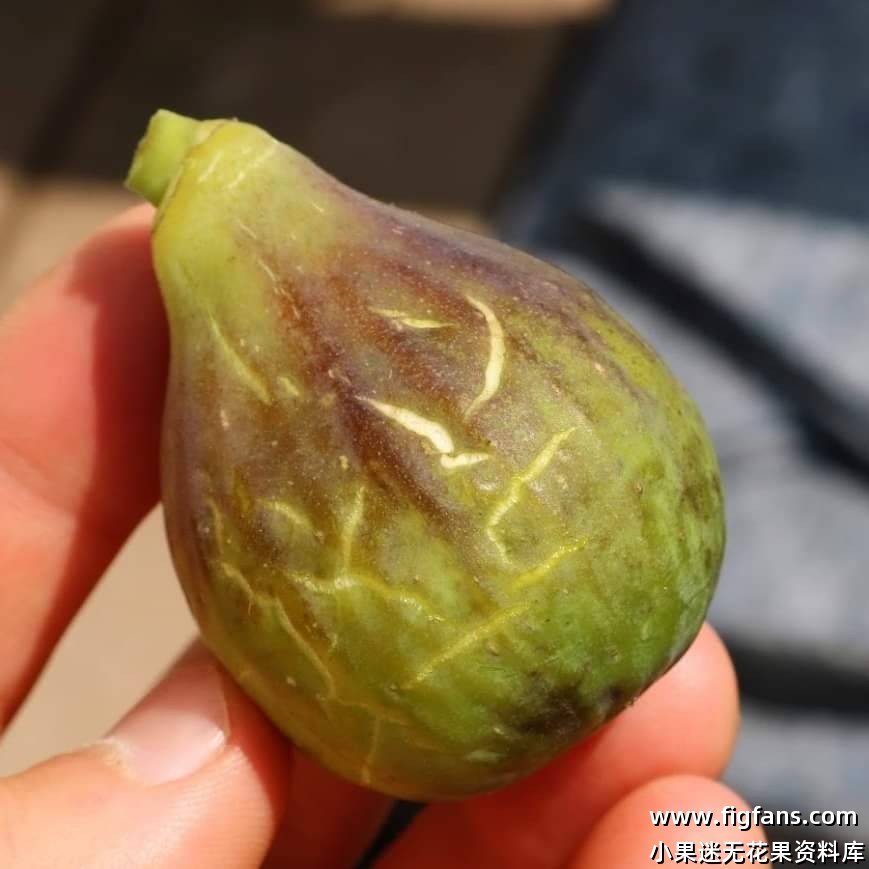 FB_IMG_1726703927829.jpg FB_IMG_1726703927829.jpg