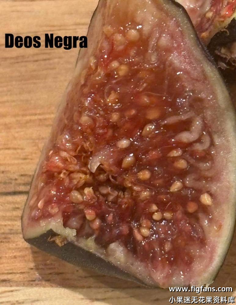 Deos Negra(Nikky)黑色死神-小果迷