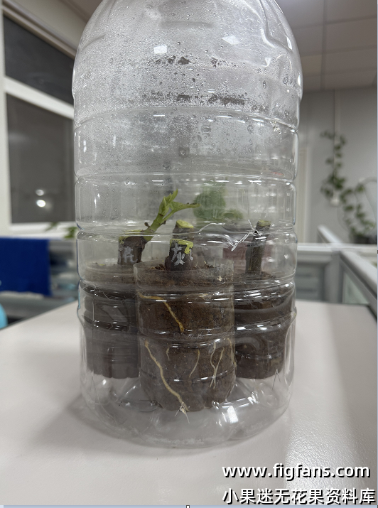 密闭环境下的状态