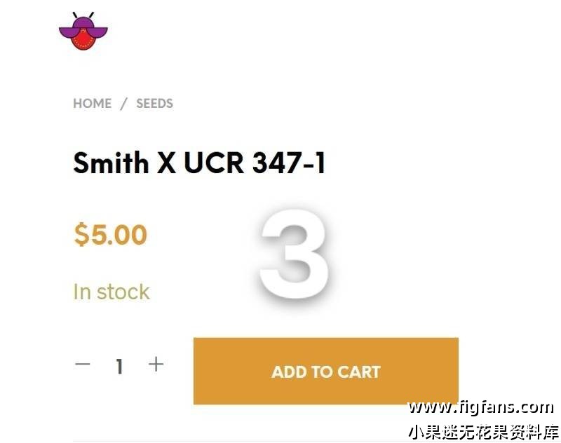 mmexport1733374437957.jpg
