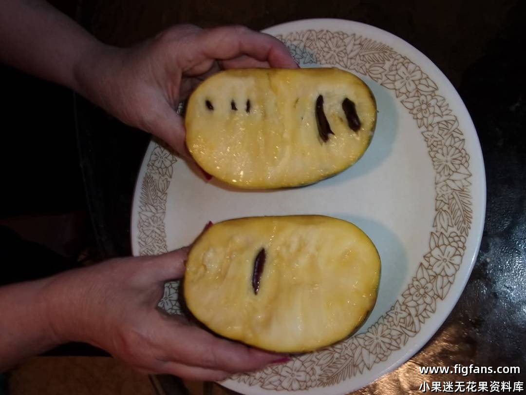 欢迎北方有地的小果迷-小果迷