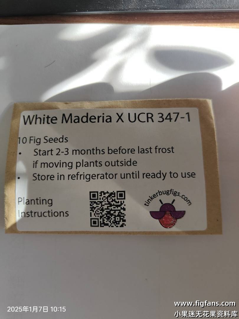 1736216123729.jpg