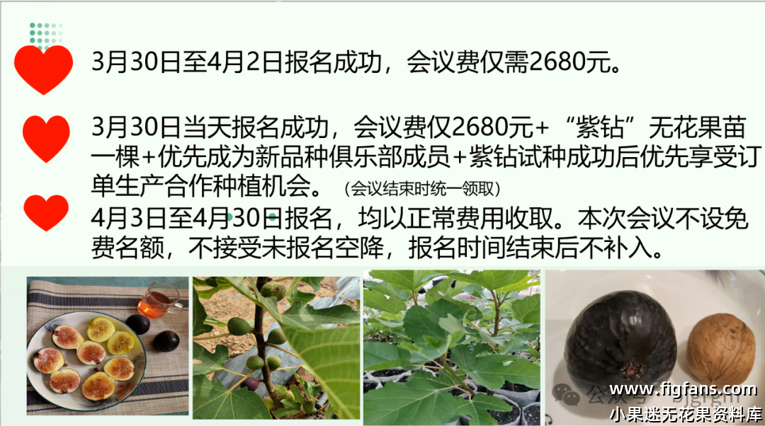 mmexportaf6cb0e9ad52ab39772880dbe2b9e37e_1736732008204.png