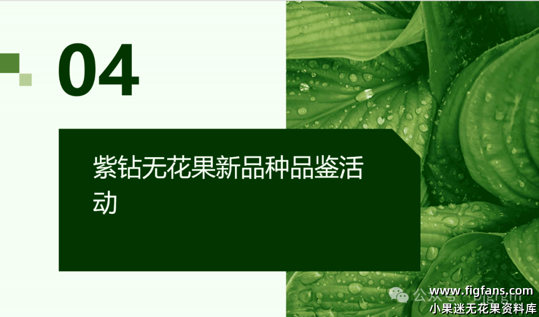 mmexportaf6cb0e9ad52ab39772880dbe2b9e37e_1736732008204.png