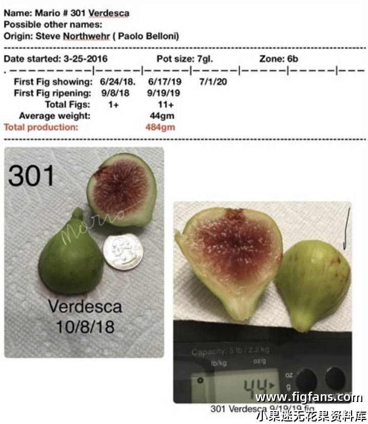6FDA744E-E9E6-4BD3-8C8E-C5F1F1110378.jpg