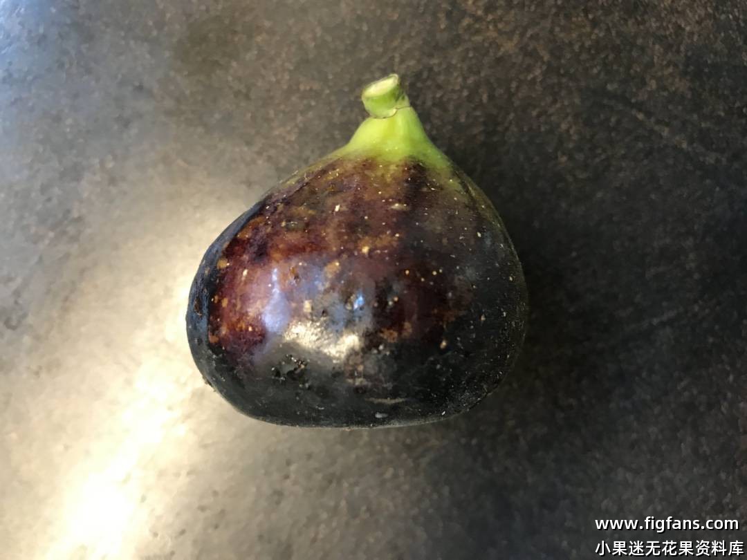 fullsizeoutput_1f58.jpeg fullsizeoutput_1f58.jpeg