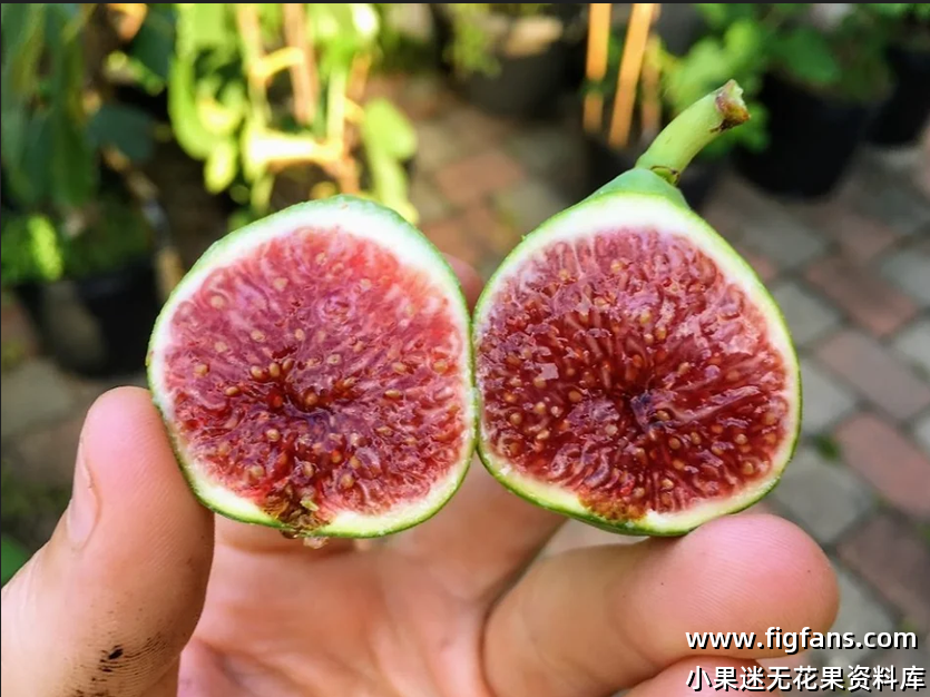 微信图片_20250213012133.png 微信图片_20250213012133.png