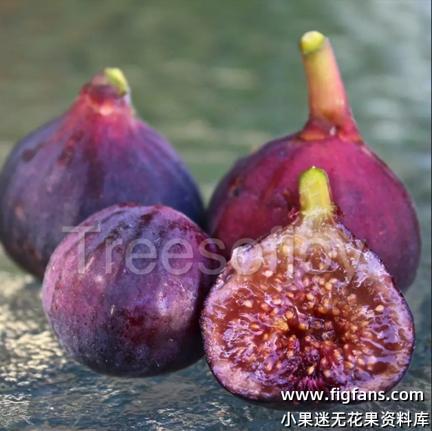 微信图片_20250222073054.png 微信图片_20250222073054.png