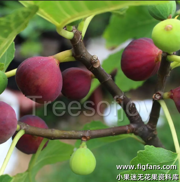 微信图片_20250222073047.png 微信图片_20250222073047.png