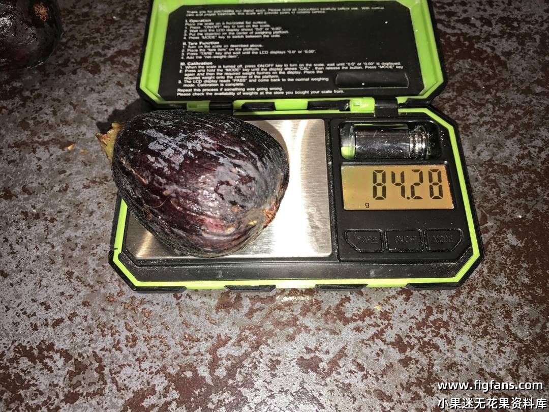 impel2.jpg impel2.jpg