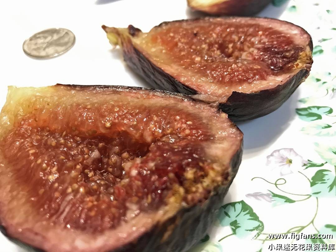 impel4.jpg impel4.jpg