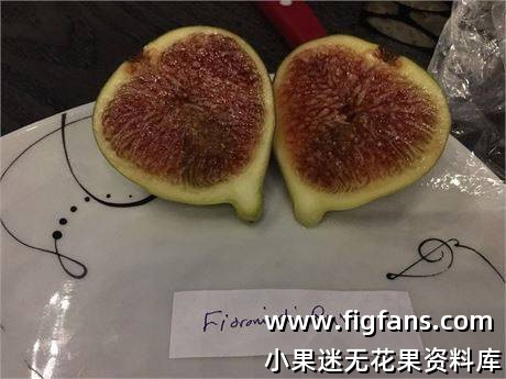 2d4312f7-42fe-4f60-ac74-00916dbbbfad_fullsize.jpg