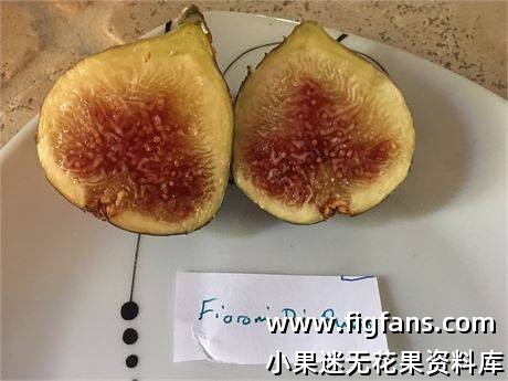 7e3d3a1d-6e77-4a50-9739-762f44ce2e82_fullsize.jpg