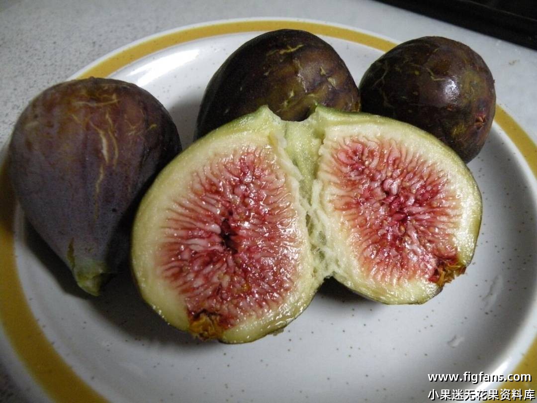 Jean talon main sept 121212 inside.jpg