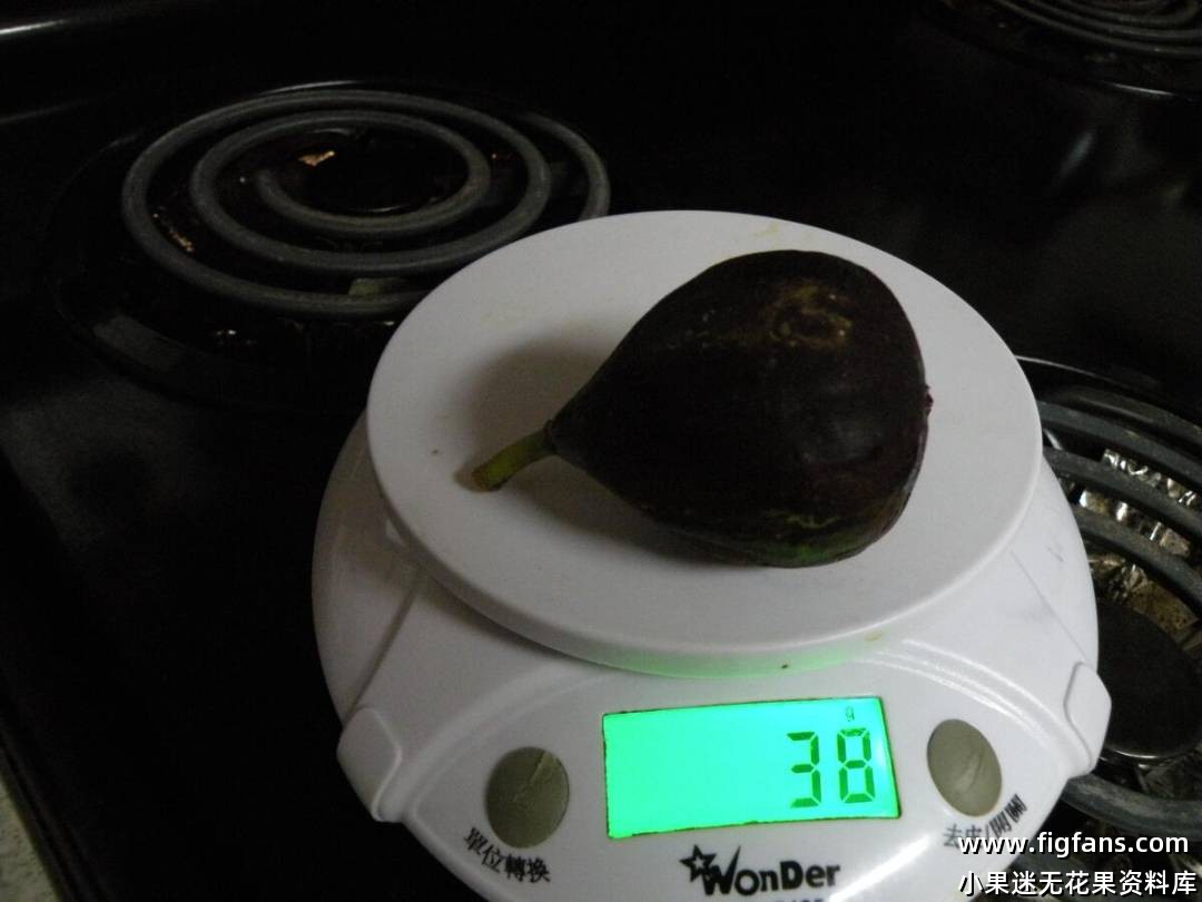 Jean talon main sept 121212 weight.jpg