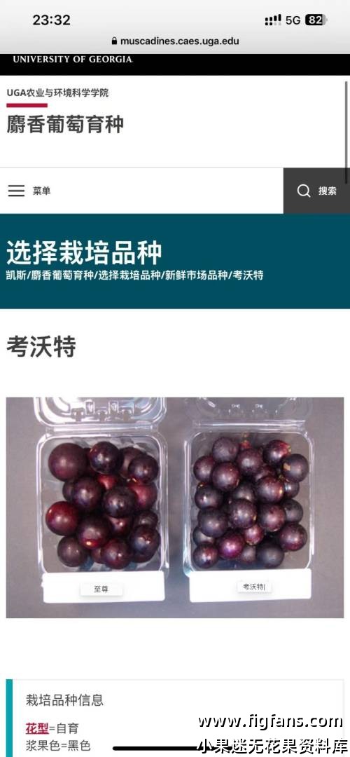 mmexport1740925569086.jpg