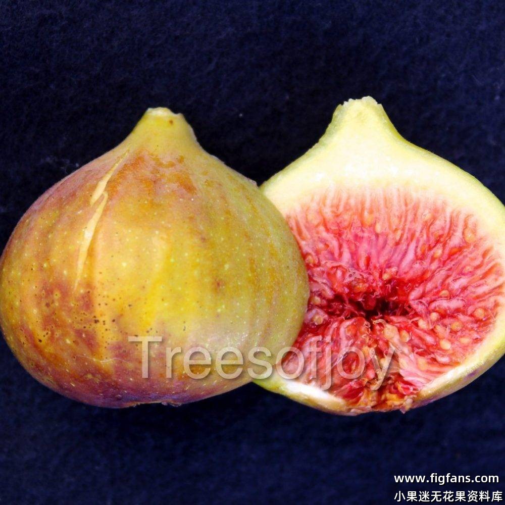 delaplata-1-1000x1000.jpg