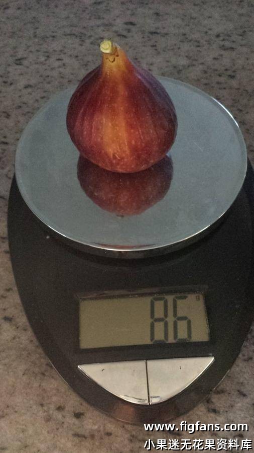 黑色天堂     Paradiso Nero-小果迷