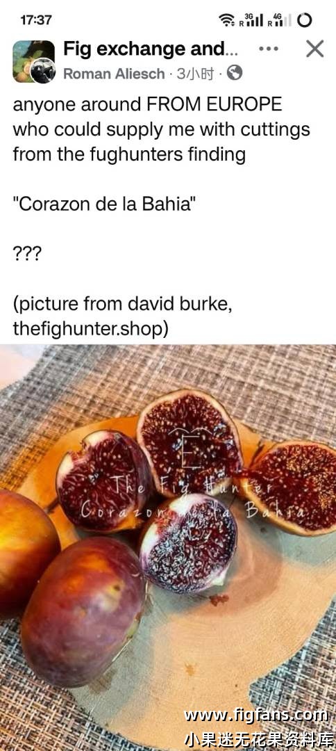 Screenshot_2025-03-10-17-37-32-50_a23b203fd3aafc6dcb84e438dda678b6.jpg Screenshot_2025-03-10-17-37-32-50_a23b203fd3aafc6dcb84e438dda678b6.jpg