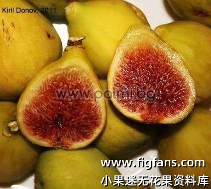 product_3873.jpg