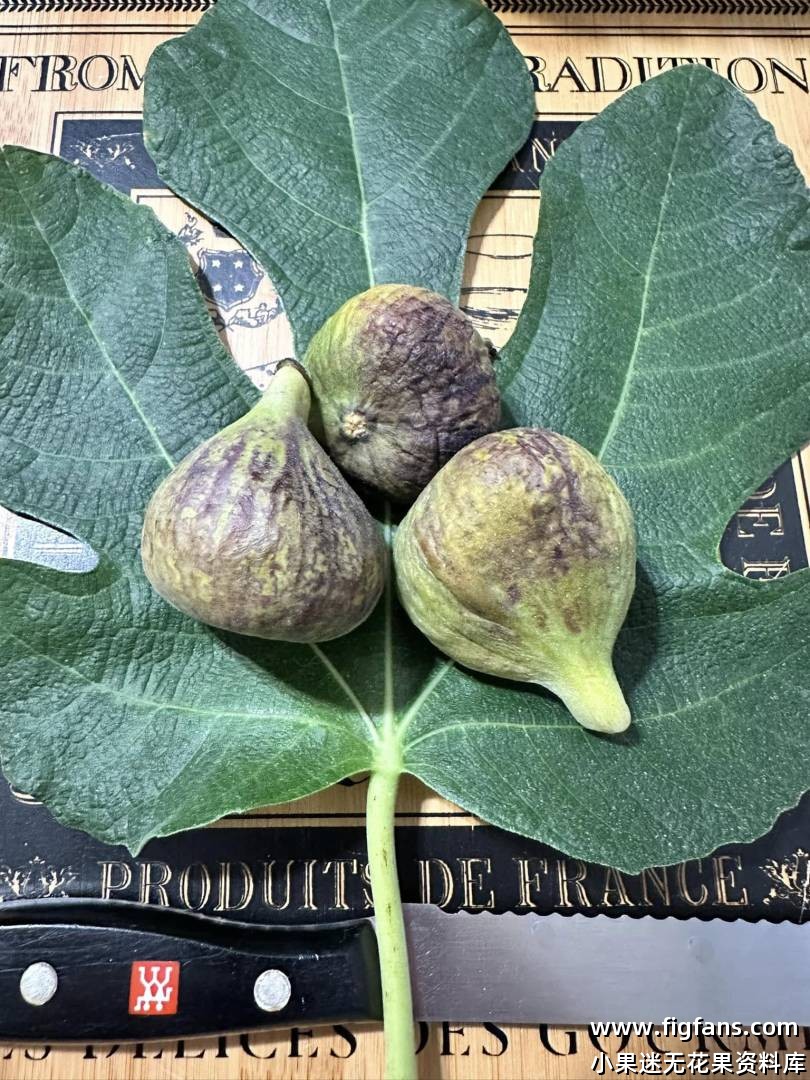 _whc67a582643b676_M5Ktk42i9y_pTeu5xCaSW (1).jpg