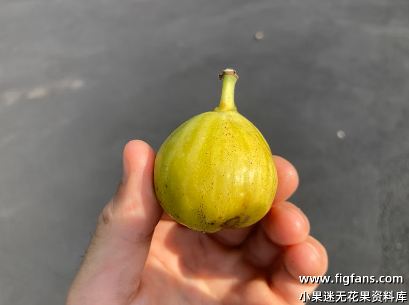 微信图片_20250318202606.png