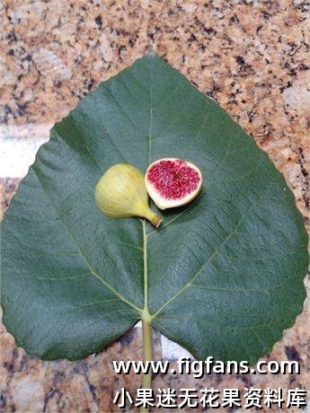 486548717_623713563896247_2161852710244721935_n.jpg 486548717_623713563896247_2161852710244721935_n.jpg